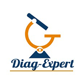 DIAG-EXPERT